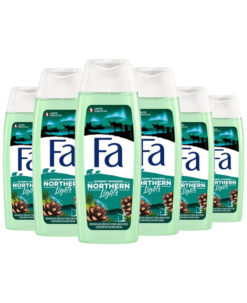 6x Fa Douchegel Scenery Wonders Northern Lights 250 ml