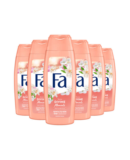 6x Fa Douchegel Divine Moments 250ml